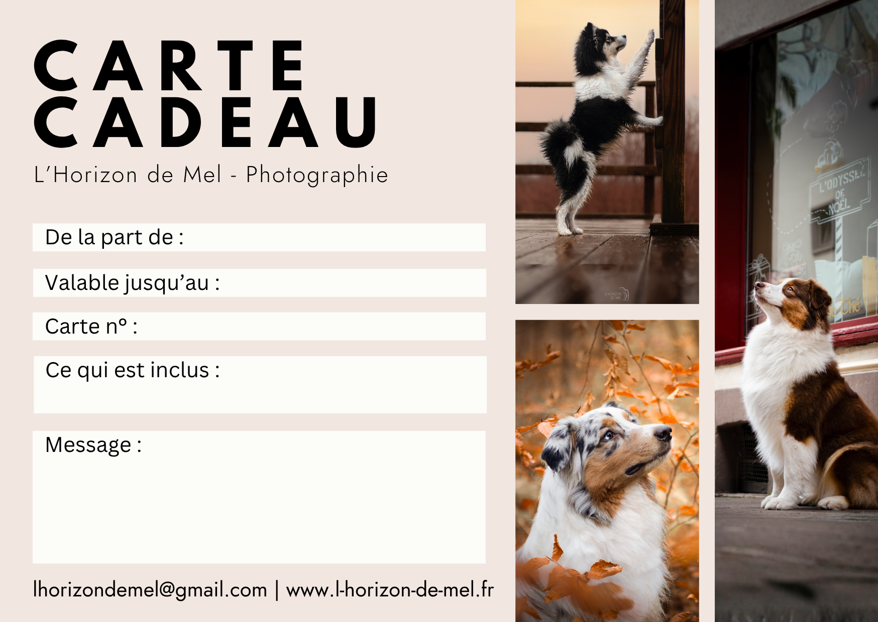 Carte cadeau