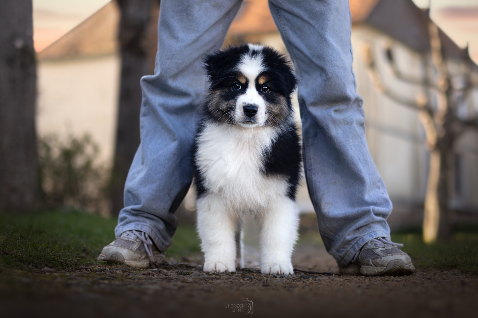 Melym entre les jambes de sa jeune propriétaire