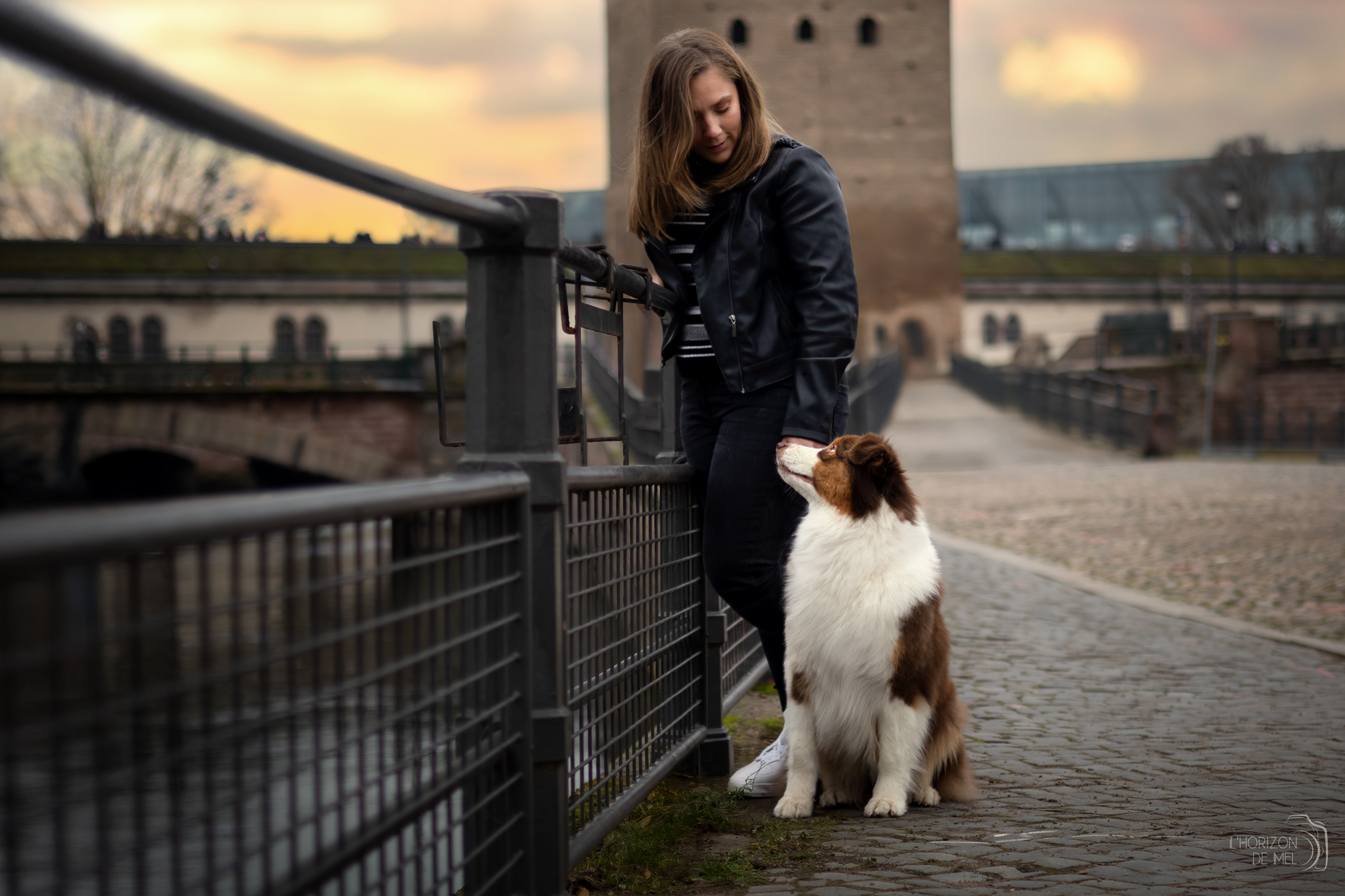 Chien bien préparé pour une séance photo en extérieur dans le Grand Est